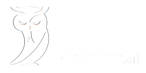 Bufi Urte