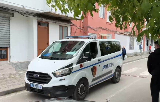 Pogradec/ Arrestohet 48-vjeçari vidhte kabllot e ndriçimit publik