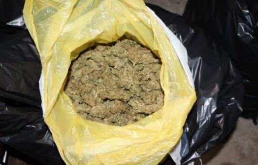 Kapet 33.8 kg kanabis në Kapshticë, arrestohet shtetasi grek