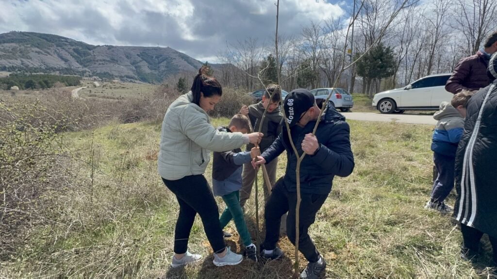 Fëmijë dhe qytetarë mbjellin pemë në kodrat e Korçë, nisma që po kthehet në traditë